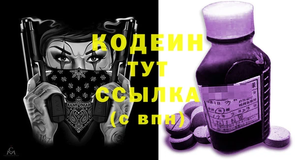 дживик Богородицк