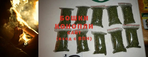 дживик Богородицк
