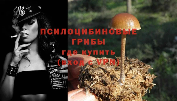 дживик Богородицк