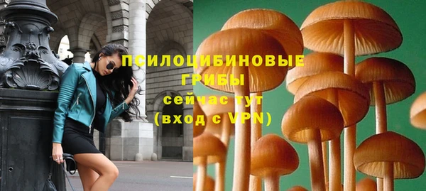 дживик Богородицк